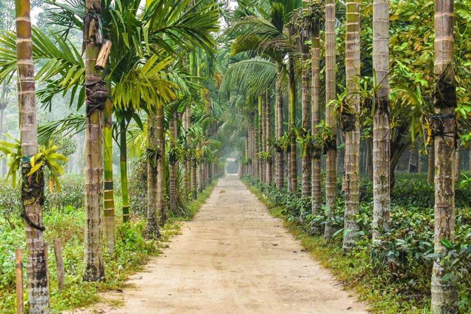 Kanoka Village Resort Mazbat エクステリア 写真
